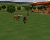 Animated Farm Bull