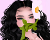 Tangled Daisy