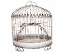 love bird cage no birds