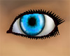 [TET]blue clearly eyes M