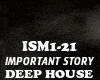 DEEP HOUSE-IMPORTANT STO