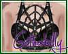 Layerable Spider Harness
