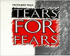 tears for fears -mothers