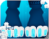 [Pets] Loru | paws