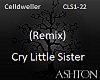 Cry Little Sister(Remix)