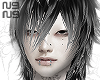 shin (layered)