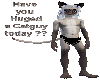 huged your catguy