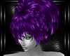 purple clara hairs