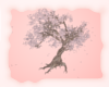 A: Blush tree