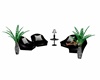 Black Lotus Chat Chairs