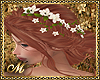MAREVA GINGER WHITE ROSE