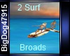 [BD] 2 Surf Broads