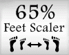 Scaler Feet 65%