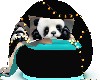 panda sit