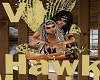 Hawk and Vilaness 11