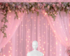 Pink backdrop background
