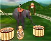 {BB}Circus Tents Show