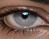EY Gray Unisex