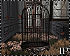 Vintage Birdcage Fall