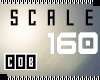 </C> 160 Avatar Scale