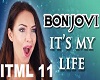 It s My Life REMIX METAL