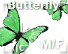 R|C Green Butterfly M/F