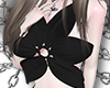 ᨳFlower Top BLACK