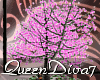[QD7]Pink Blossoms Tree