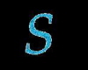 The letter s