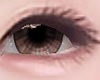 ୨ৎ Bear Eyes