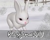 🐇 Winter white Rabbit