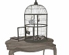 Romantic Table Cage
