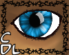 CdL Lumi-Blue Eyes