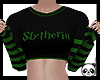 🐼 Slytherin-Hiss🐍