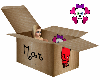 mar's brb box