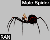 *R* Male Spider Avatar