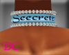 (DC)Seecretz Blue Collar