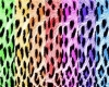 Rainbow Cheetah Wall