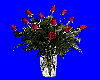 Roses 5