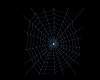 Animated Spider Web blue