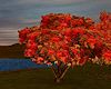 Fall Tree Animated
