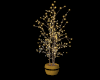 gold black tree