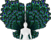 peacock wings 2