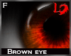 [LD]Brown Eye Female