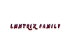 lmntrix