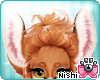 [Nish] Fox Ears 2