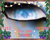 ꨄO'Shay Eyesꨄ