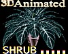 Animated Plant 