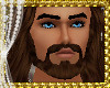 D3~Jesus Beard