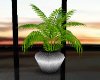 Pot Plant vr2(Exclusive)